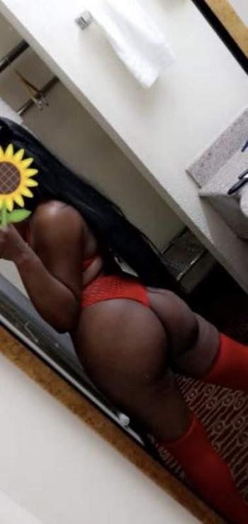 7865880249, female escort, Eastern Connecticut